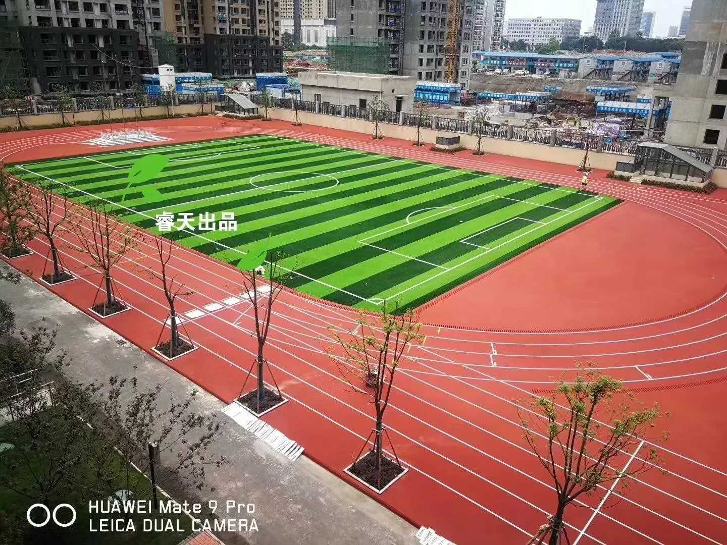 湖北湖北武漢小學(xué)分校（光谷十小)